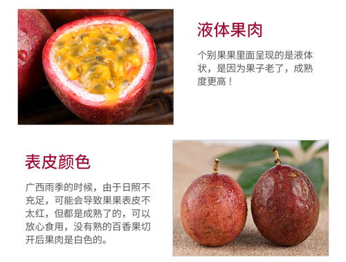 广西百香果 现摘大果新鲜上市，优质批发直供市场