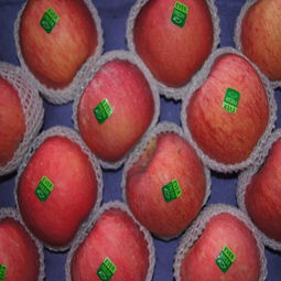 烟台牟平区广联果蔬专业合作社 新鲜苹果批发价格与厂家直供优势