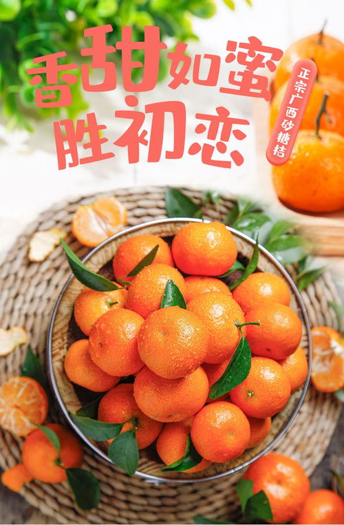 广西沙糖桔批发 新鲜薄皮无籽，整箱速达，锁定这份正宗甜蜜